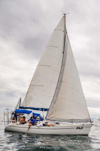 1DS_0559
