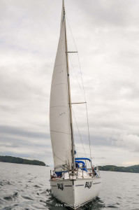 1DS_0563