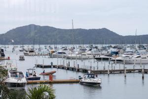 IMG 0249-2