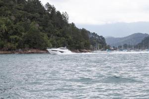 IMG 0259-2