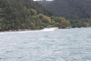 IMG 0260-2