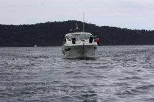 IMG 0269
