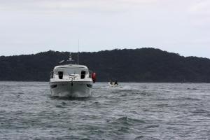 IMG 0271