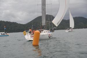 eles-elas-1DS 7967-297