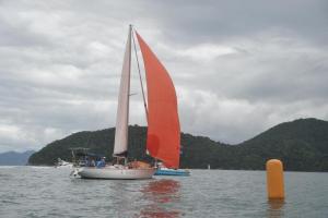 eles-elas-1DS 8001-319