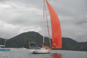 eles-elas-1DS 8003-320