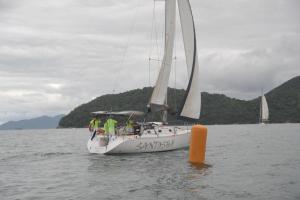 eles-elas-1DS 8024-331