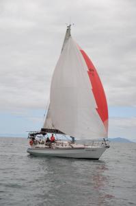 eles-elas-1DS 8061-350