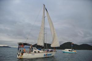 eles-elas-1DS 8101-368
