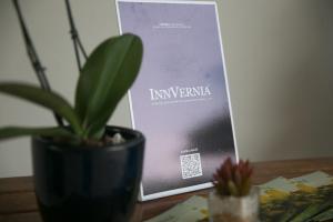 IMG 0512