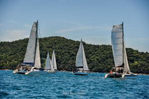 eles-elas-1DS 5228-100