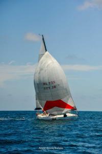 eles-elas-1DS 5336-265