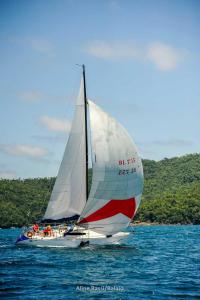 eles-elas-1DS 5339-267
