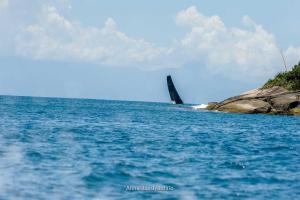 eles-elas- DSC7960-246