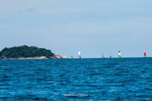 eles-elas- DSC8035-285