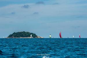 eles-elas- DSC8045-292