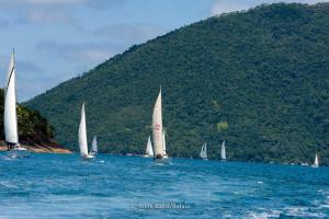 eles-elas- DSC8181-361