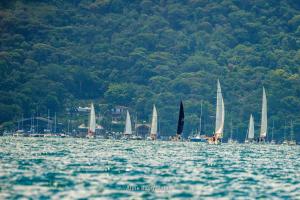 eles-elas- DSC8188-364