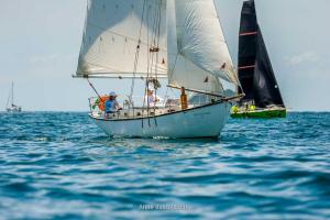 inverso- DSC8388-034