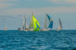 inverso- DSC8497-119