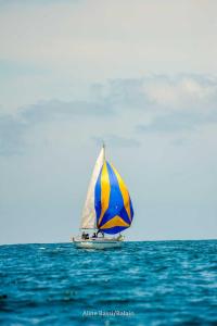 inverso- DSC8629-191
