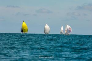 inverso- DSC8650-201