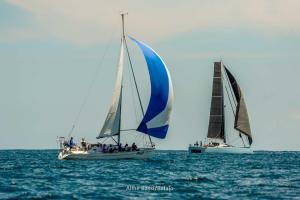 inverso- DSC8652-202