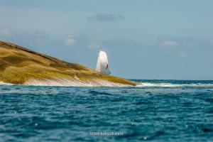 inverso- DSC8654-203