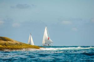 inverso- DSC8657-204