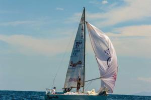 inverso- DSC8666-210