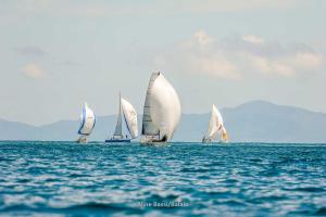 inverso- DSC8698-242
