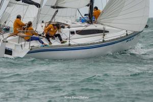 DSC3703
