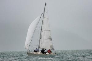 DSC3779