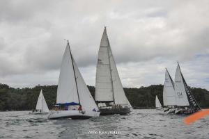 01-eleela-regata-1DS 9719-061