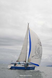 01-eleela-regata-1DS 9756-221