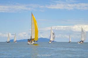 inverso-1DS 0135-174