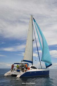 inverso-1DS 0160-215
