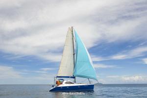 inverso-1DS 0164-216