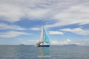 inverso-1DS 0165-217