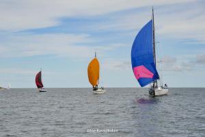 inverso-1DS 0178-231