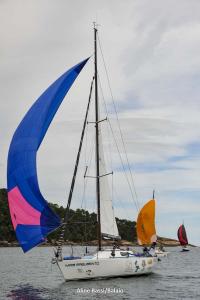 inverso-1DS 0182-234