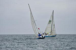 DSC2197