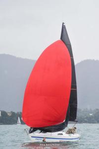 DSC2865