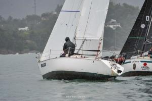 DSC3042