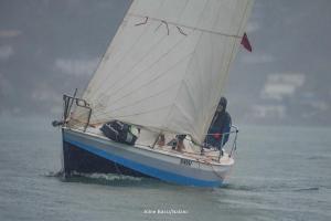 DSC3154