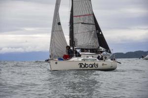 1DS 4177