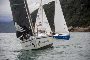 1DS 4184