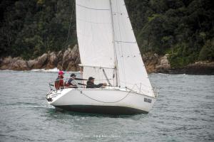 1DS 4197