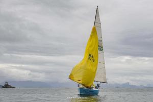 1DS 4287