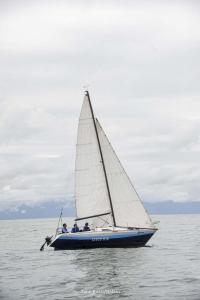 1DS 4394